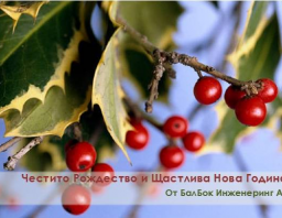 Весела Коледа и Щастлива Нова Година!
