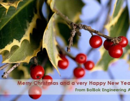 Merry Christmas and Happy New Year!